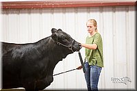 LCFair2016-1897.jpg