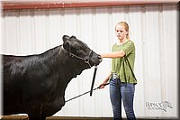 LCFair2016-1898.jpg
