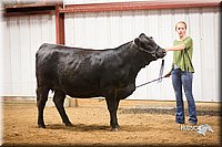 LCFair2016-1899.jpg