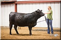 LCFair2016-1902.jpg