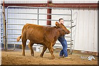 LCFair2016-1903.jpg