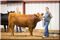 LCFair2016-1904.jpg