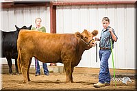 LCFair2016-1905.jpg