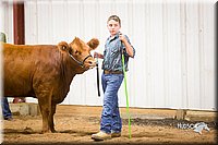 LCFair2016-1906.jpg