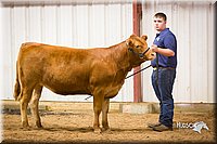 LCFair2016-1908.jpg