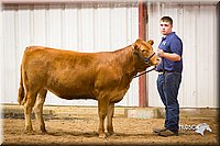 LCFair2016-1910.jpg