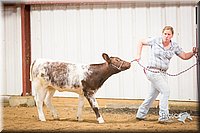 LCFair2016-1911.jpg