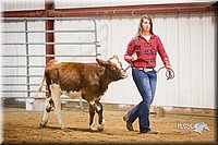 LCFair2016-1915.jpg