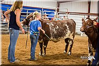 LCFair2016-1940.jpg