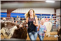 LCFair2016-1945.jpg