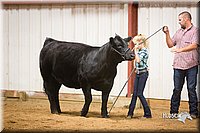 LCFair2016-1958.jpg