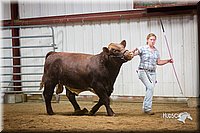 LCFair2016-2001.jpg