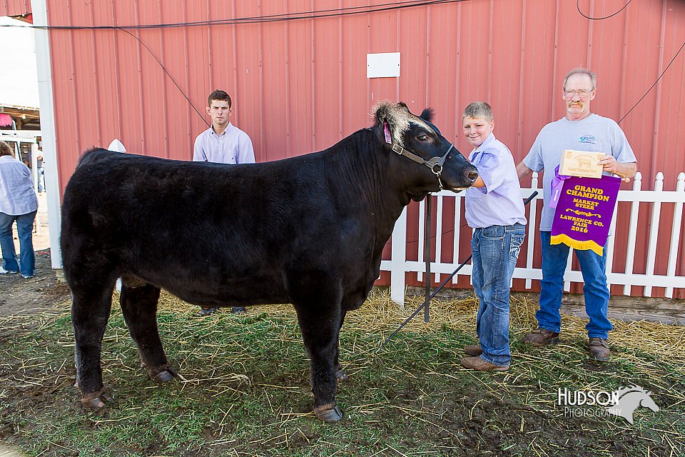 LCFair2016-2085.jpg