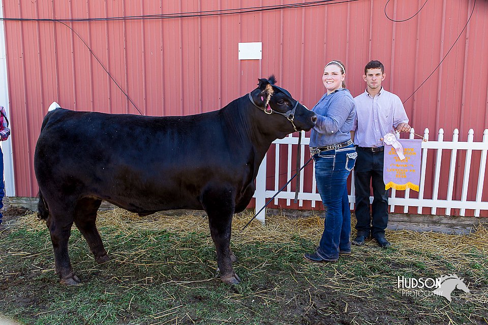 LCFair2016-2096.jpg