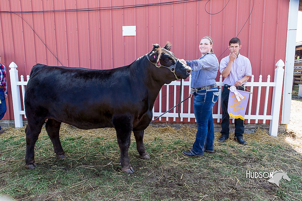 LCFair2016-2104.jpg