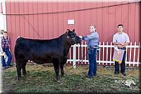 LCFair2016-2101.jpg