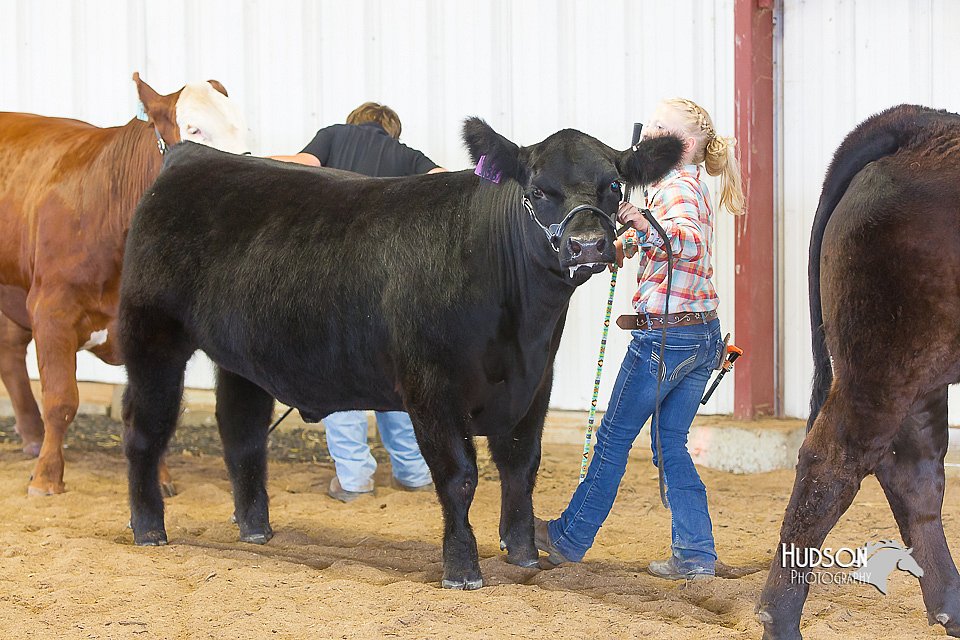 LCFair2016-2162.jpg