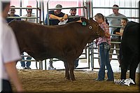 LCFair2016-2166.jpg
