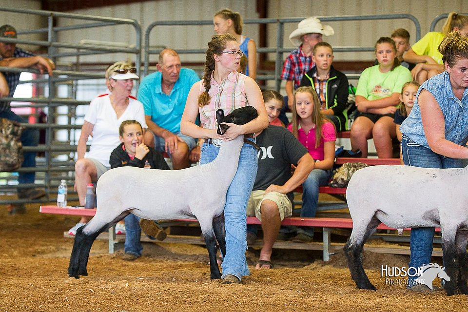 LCFair2016-2239.jpg