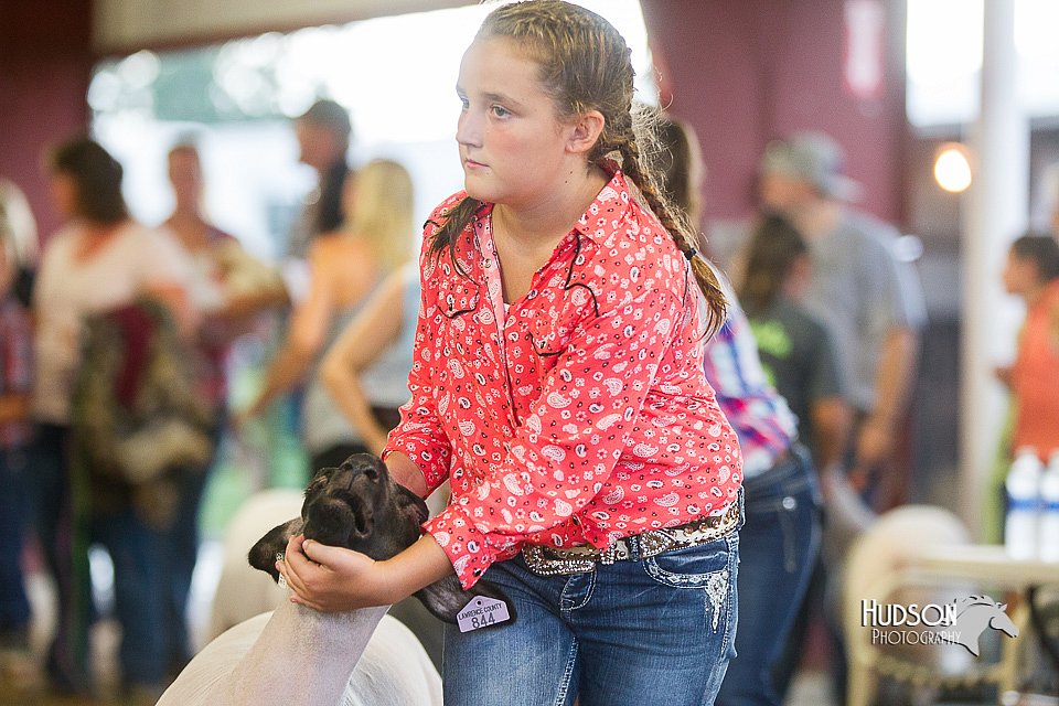 LCFair2016-2384.jpg