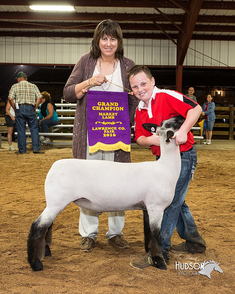 LCFair2016-2628.jpg