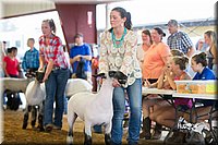 LCFair2016-2288.jpg