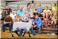 LCFair2016-2291.jpg