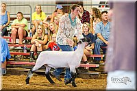 LCFair2016-2292.jpg