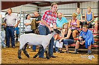 LCFair2016-2293.jpg