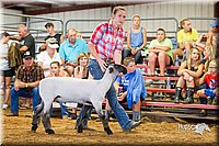 LCFair2016-2294.jpg