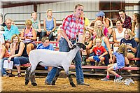 LCFair2016-2295.jpg