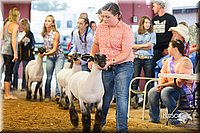 LCFair2016-2302.jpg