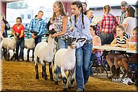 LCFair2016-2304.jpg