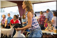 LCFair2016-2306.jpg