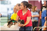 LCFair2016-2308.jpg