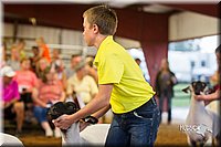 LCFair2016-2310.jpg