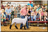 LCFair2016-2314.jpg