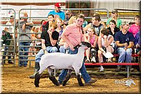 LCFair2016-2315.jpg