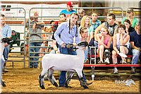 LCFair2016-2316.jpg