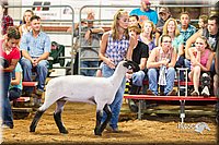 LCFair2016-2317.jpg