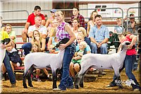 LCFair2016-2318.jpg