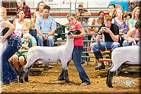 LCFair2016-2319.jpg