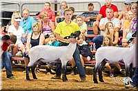 LCFair2016-2320.jpg