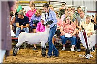 LCFair2016-2321.jpg