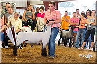 LCFair2016-2322.jpg