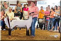 LCFair2016-2323.jpg