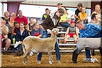 LCFair2016-2324.jpg