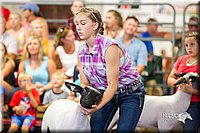 LCFair2016-2325.jpg