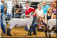 LCFair2016-2326.jpg