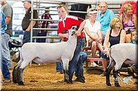 LCFair2016-2327.jpg